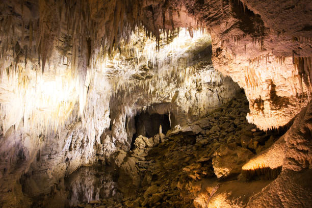 Waitomo Caves