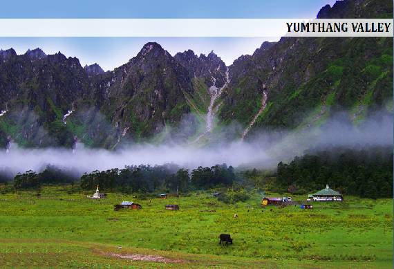 yumthang_valley