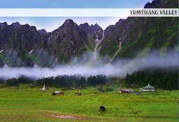 yumthang_valley