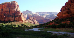 Zion National Park 