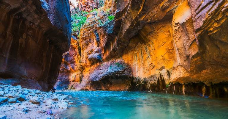 Zion National Park 