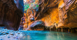 Zion National Park 