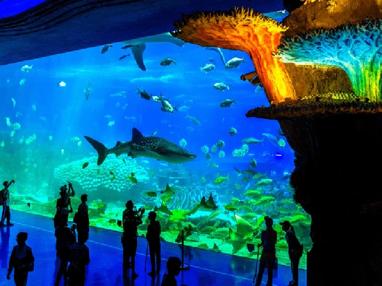 Ocean Kingdom Park