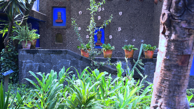 See Frida Kahol’s home turned museum